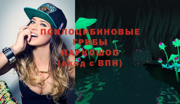 прущие крисы Абаза